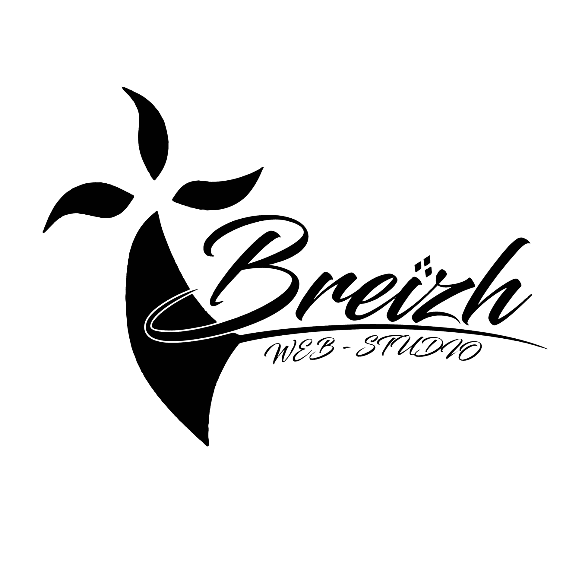 Logo Breizh Web Studio Noir
